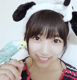 矢吹奈子
