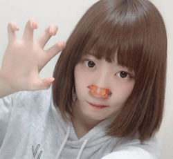 ねこてん