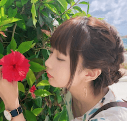 きりたんぽ