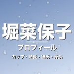 堀菜保子のカップ・熱愛・彼氏・身長・プロフィール記事メインビジュアル