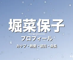 堀菜保子のカップ・熱愛・彼氏・身長・プロフィール記事メインビジュアル