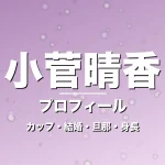 小菅晴香のカップ・結婚・旦那・身長・プロフィール記事メインビジュアル