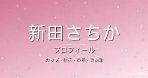 新田さちかのカップ・彼氏・身長・実業家・プロフィール記事メインビジュアル