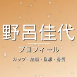 野呂佳代のカップ・結婚・旦那・身長・プロフィール記事メインビジュアル