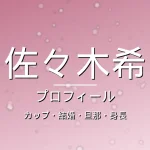 佐々木希のカップ・結婚・旦那・身長・プロフィール記事メインビジュアル