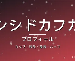 シシドカフカのカップ・彼氏・身長・ハーフ・プロフィール記事メインビジュアル