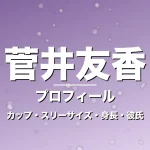 菅井友香のカップ・スリーサイズ・身長・彼氏・乗馬の記事メインビジュアル