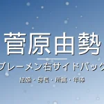 菅原由勢の結婚・身長・所属・年俸・ブレーメンの記事メインビジュアル