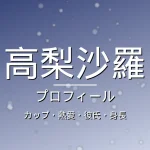 高梨沙羅のカップ・熱愛・彼氏・身長・プロフィール記事メインビジュアル