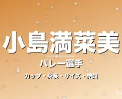 小島満菜美のカップ・身長・サイズ・結婚・米LOVB守護神の記事メインビジュアル