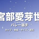 宮部愛芽世のカップ・身長・サイズ・彼氏・仏へ移籍の記事メインビジュアル