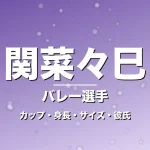 関菜々巳のカップ・身長・サイズ・彼氏・世界一の司令塔の記事メインビジュアル