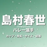 島村春世のカップ・身長・サイズ・結婚・韓国で躍動の記事メインビジュアル
