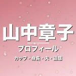 山中章子のカップ・身長・サイズ・結婚・変わらぬ可愛さの記事メインビジュアル