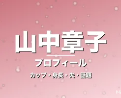 山中章子のカップ・身長・サイズ・結婚・変わらぬ可愛さの記事メインビジュアル