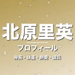 北原里英の身長・体重・熱愛・彼氏・プロフィール記事メインビジュアル
