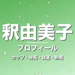 釈由美子のカップ・身長・体重・熱愛・プロフィール記事メインビジュアル