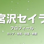宮沢セイラのカップ・身長・体重・熱愛・プロフィール記事メインビジュアル