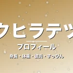 オクヒラテツコの身長・体重・彼氏・すっぴん・プロフィール記事メインビジュアル