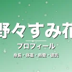 野々すみ花の身長・体重・熱愛・彼氏・プロフィール記事メインビジュアル
