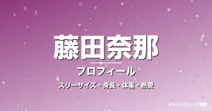 藤田奈那のスリーサイズ・身長・体重・熱愛・プロフィール記事メインビジュアル