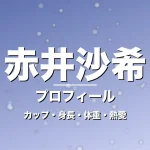 赤井沙希のカップ・身長・体重・熱愛・プロフィール記事メインビジュアル
