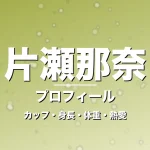 片瀬那奈のカップ・身長・体重・熱愛・プロフィール記事メインビジュアル