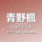 青野楓のカップ・身長・体重・熱愛・プロフィール記事メインビジュアル