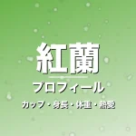 紅蘭のカップ・身長・体重・熱愛・プロフィール記事メインビジュアル