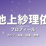 池上紗理依のカップ・身長・体重・熱愛・プロフィール記事メインビジュアル