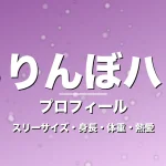 きらりんぼハリーのスリーサイズ・身長・体重・熱愛・プロフィール記事メインビジュアル