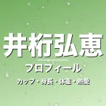 井桁弘恵のカップ・身長・体重・熱愛・プロフィール記事メインビジュアル