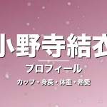 小野寺結衣のカップ・身長・体重・熱愛・プロフィール記事メインビジュアル