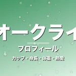 真珠オークライヤーのカップ・身長・体重・熱愛・プロフィール記事メインビジュアル