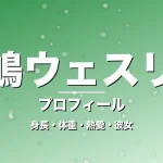 中嶋ウェスリーの身長・体重・熱愛・彼女・プロフィール記事メインビジュアル