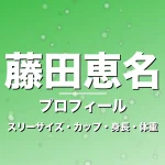 藤田恵名のスリーサイズ・カップ・身長・体重・プロフィール記事メインビジュアル