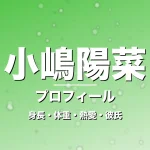 小嶋陽菜の身長・体重・熱愛・彼氏・プロフィール記事メインビジュアル