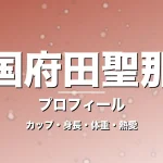国府田聖那のカップ・身長・体重・熱愛・プロフィール記事メインビジュアル