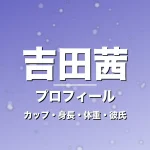 吉田茜のカップ・身長・体重・彼氏・プロフィール記事メインビジュアル