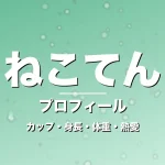 ねこてんのカップ・身長・体重・熱愛・プロフィール記事メインビジュアル