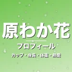 原わか花のカップ・身長・体重・熱愛・プロフィール記事メインビジュアル