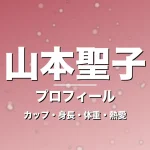 山本聖子のカップ・身長・体重・熱愛・プロフィール記事メインビジュアル